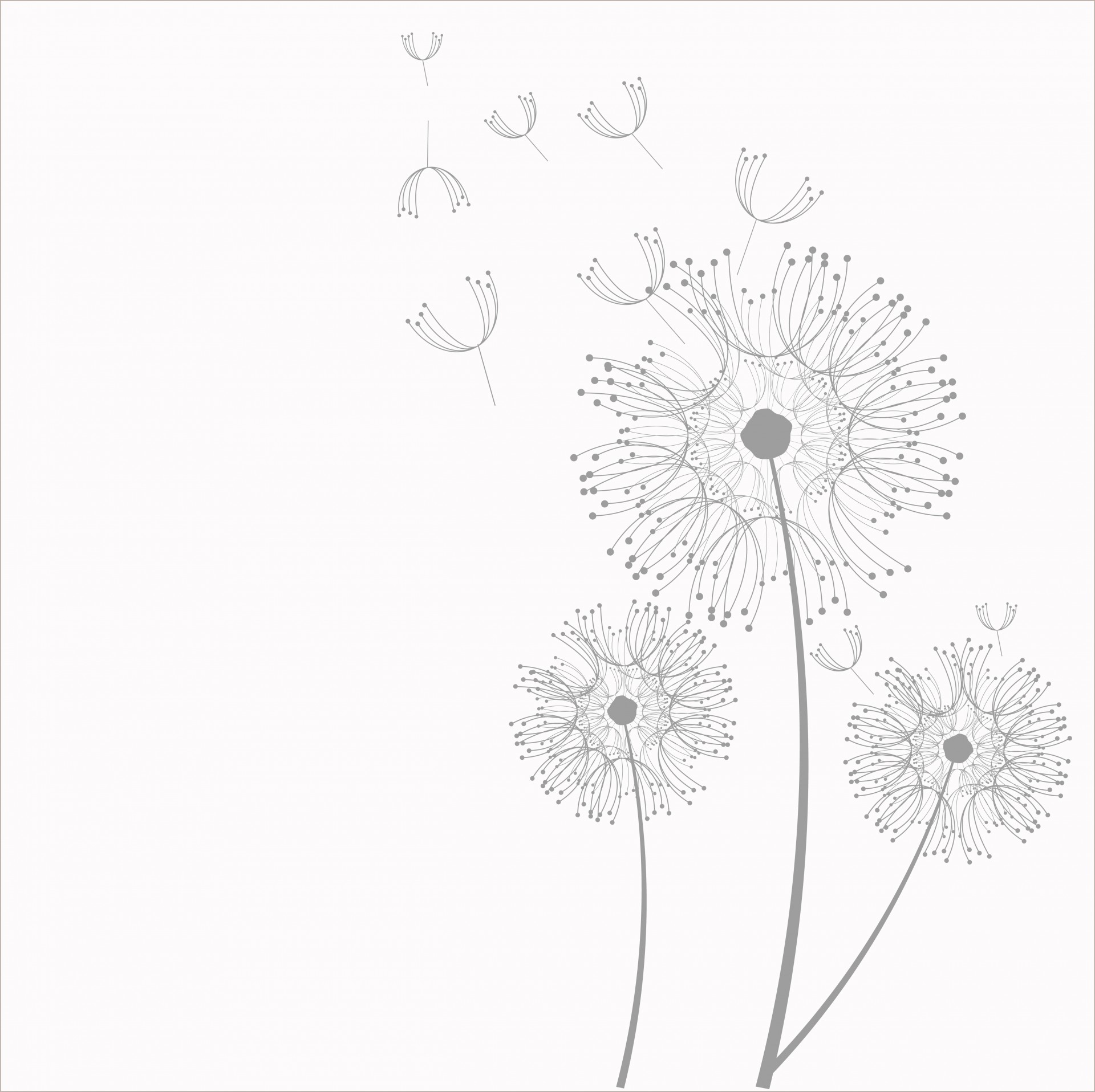 Dandelion Flowers Clipart Free Stock Photo