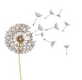 Dandelion Seed Clipart Image