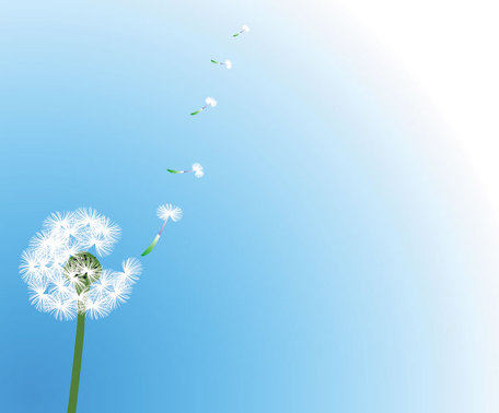 Dandelion Vector with Flying Seeds