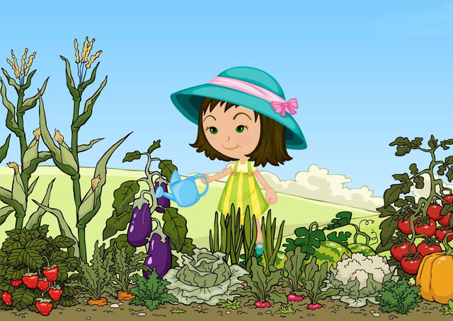 Vegetable Garden Clipart 
