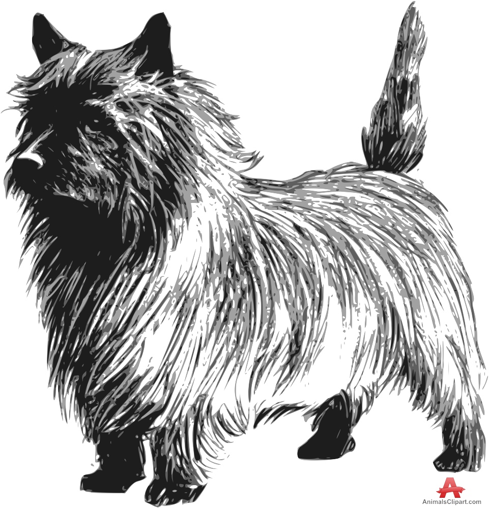 clipart terrier dog - photo #34