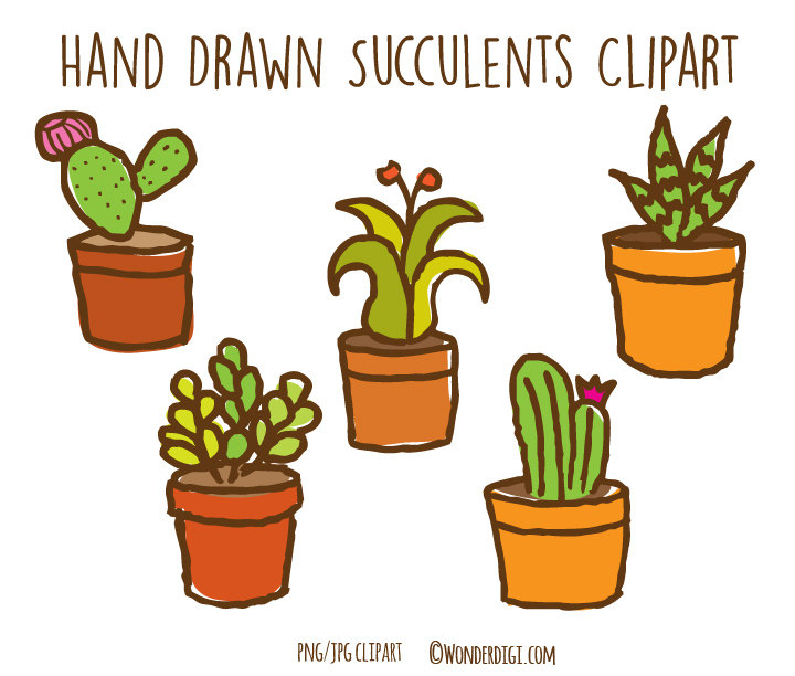 Popular items for succulents clipart
