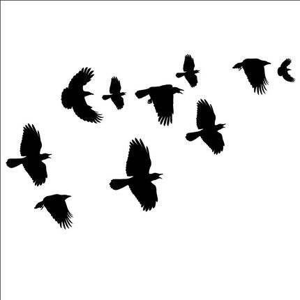 Crow clipart, Birds and Crow clip art photo,