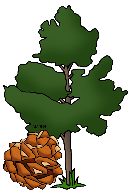 Free Trees Clip Art by Phillip Martin, Single Leaf Pinon Duo