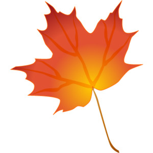 Maple Leaves Image