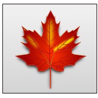 Maple Leaf clip art Free vector in Open office drawing svg