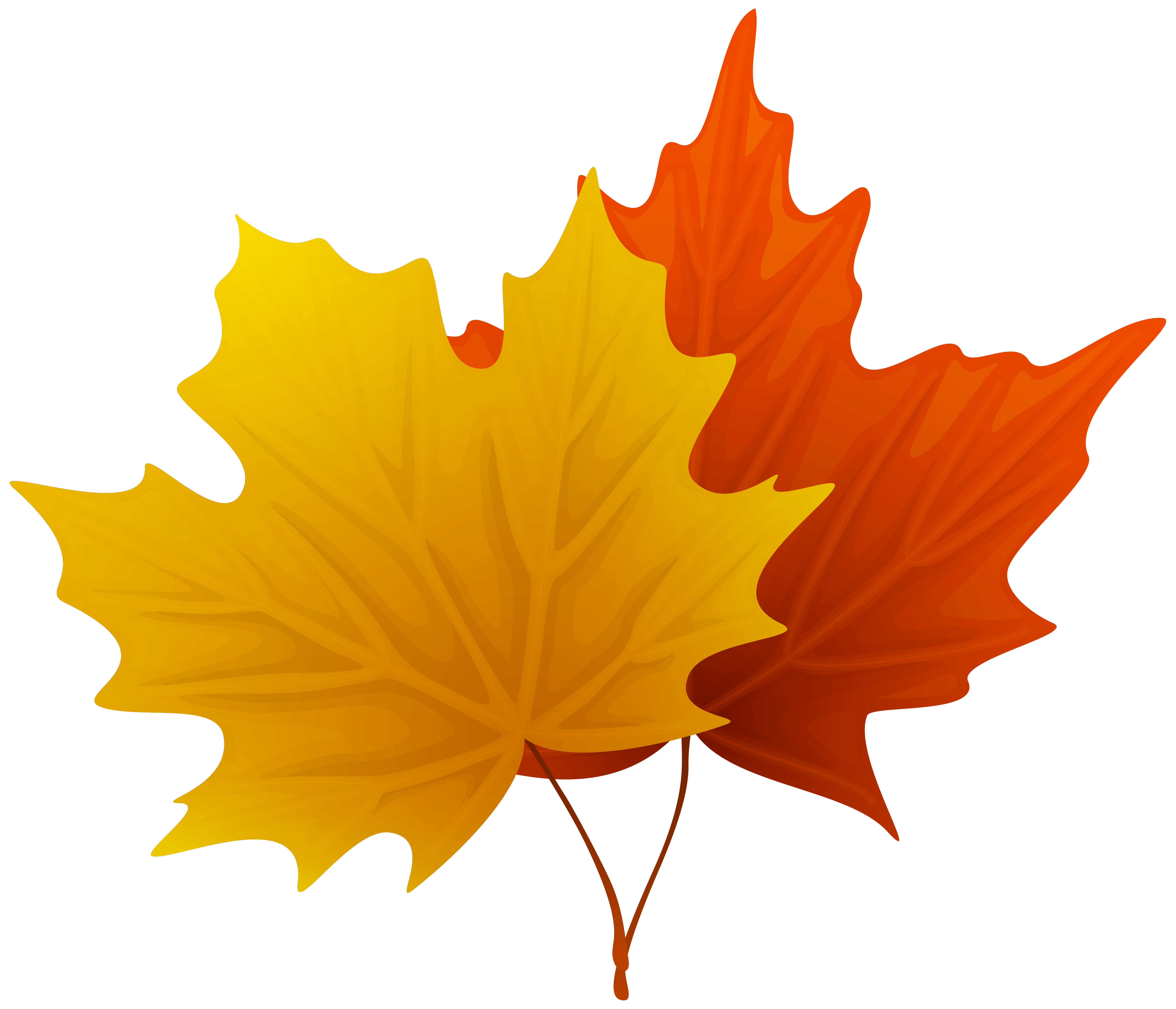 Fall Maple Leaves PNG Decorative Clipart Image
