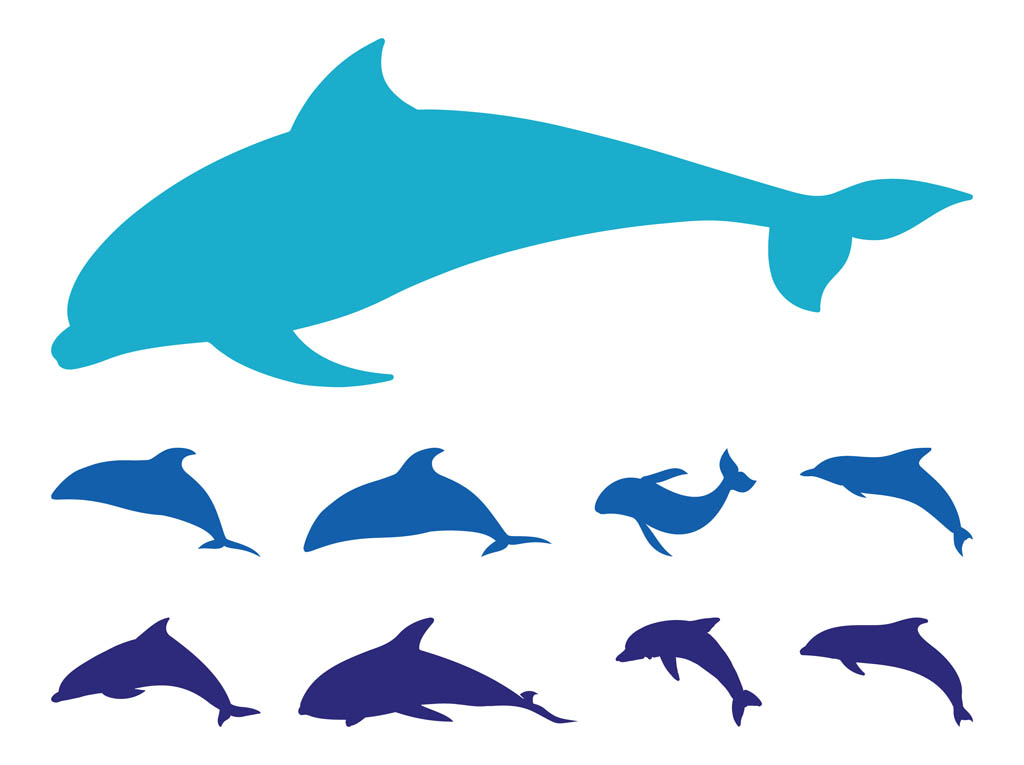 free clipart images dolphins - photo #29