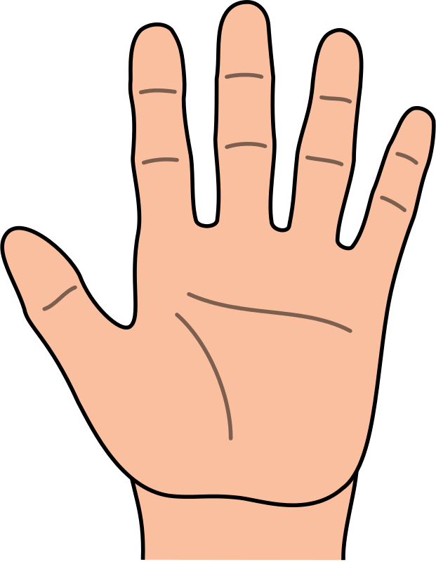 What do the 5 fingers in india represent?