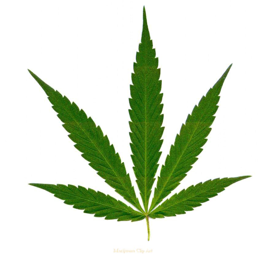 marihuana clipart