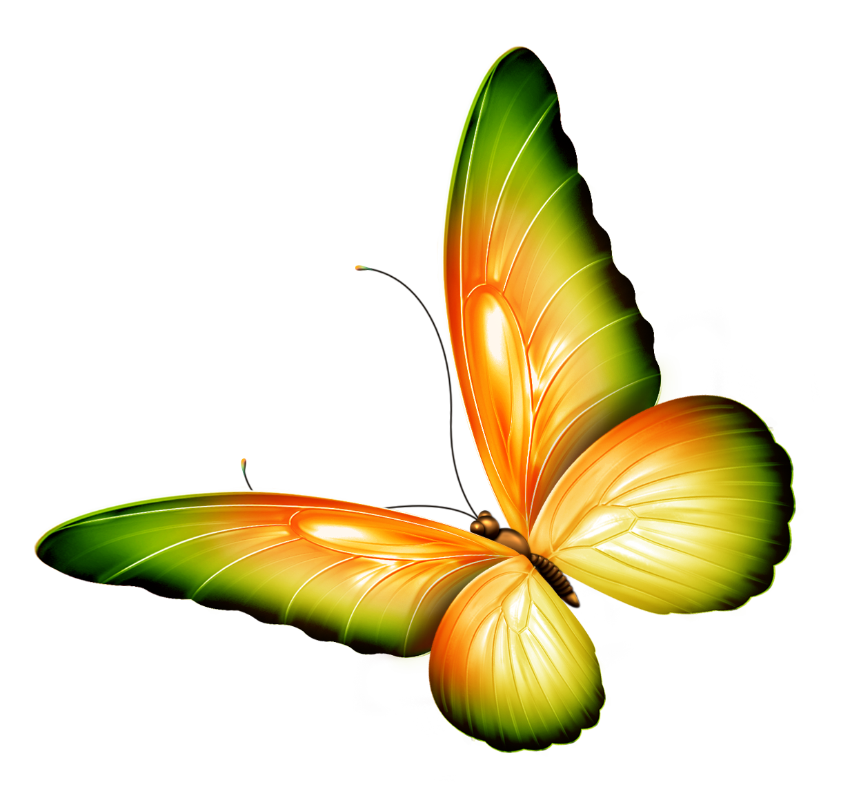 Free Transparent Cliparts Download Free Transparent Cliparts Png 