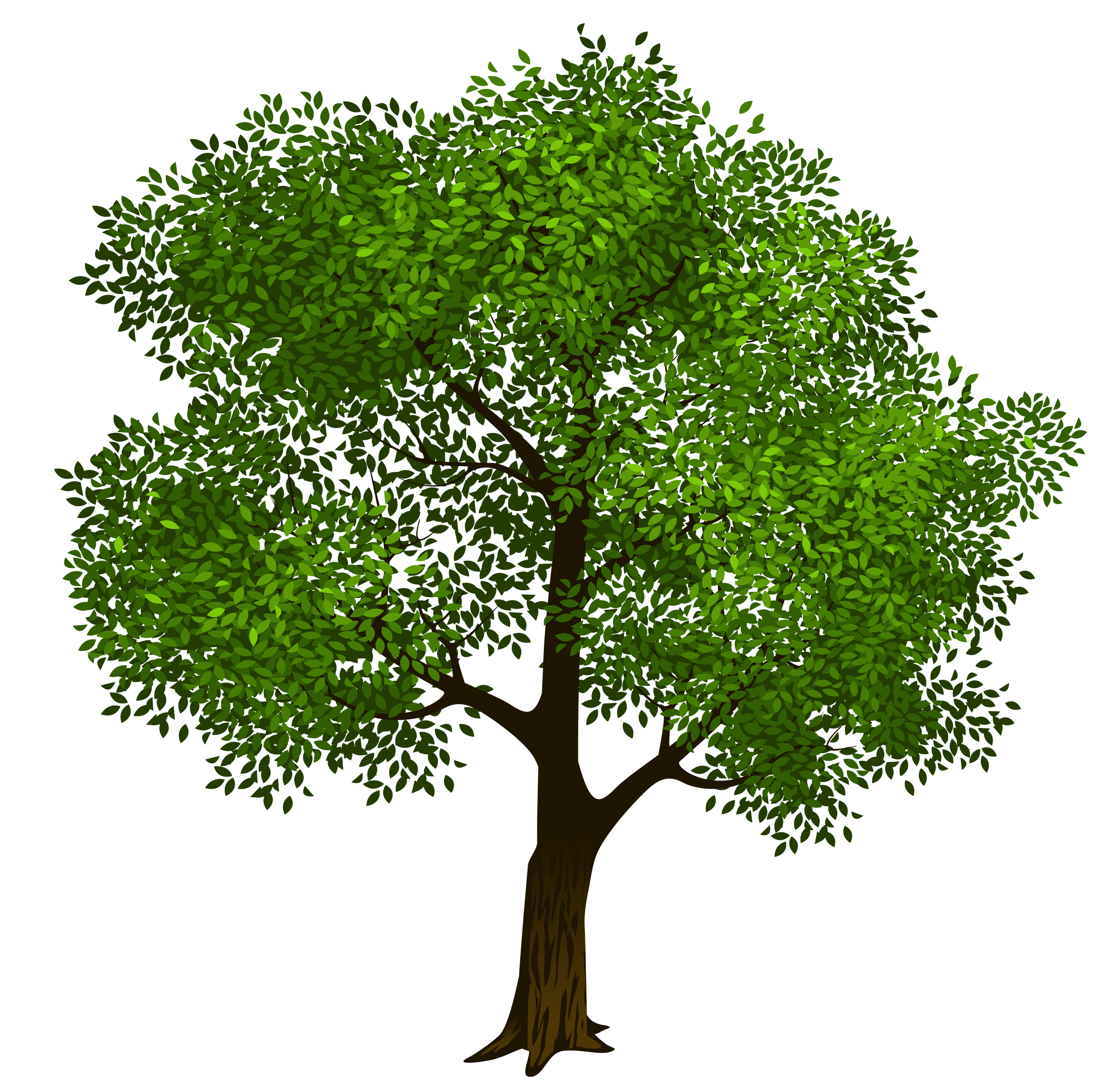 Transparent green tree clipart picture 6 