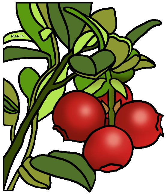 cranberries clip art