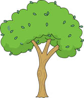 Free Trees Clipart 