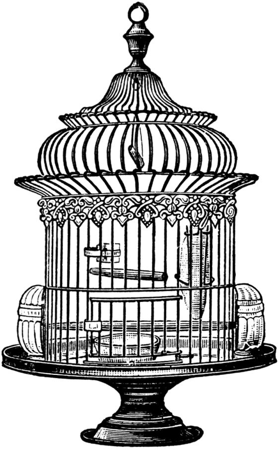 Free Vintage Bird Cage Clip Art