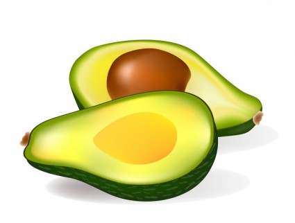 avocado clipart pngs