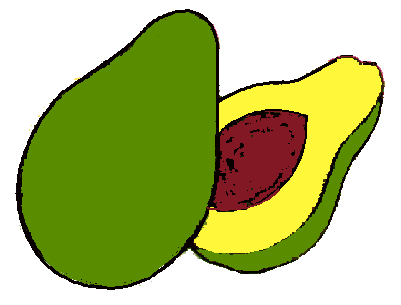 Avocado Clipart 