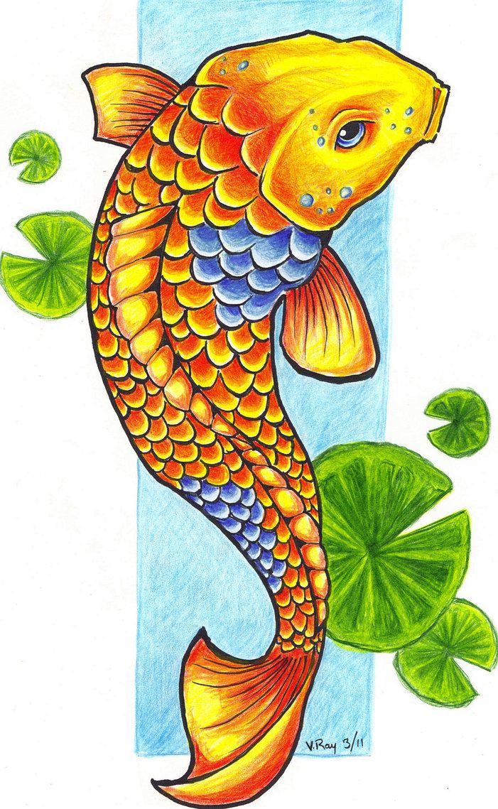 Free Koi Cliparts, Download Free Koi Cliparts png images, Free ClipArts