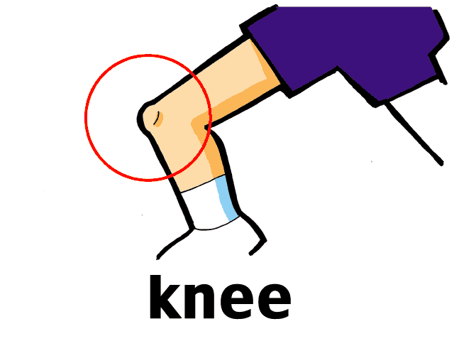 Clip Arts Related To : elbow to knee clipart. view all Knees Cliparts). 