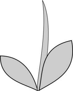 Gray Flower Stem Clip Art