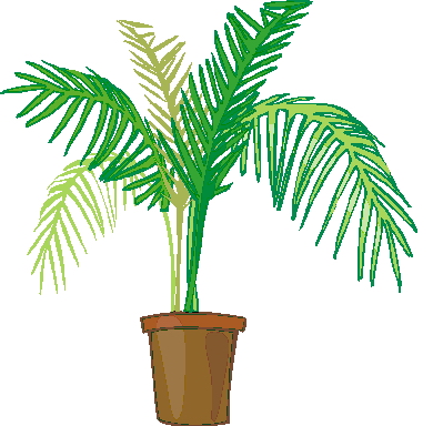 Palm tree art tropical palm trees clip art go back image for