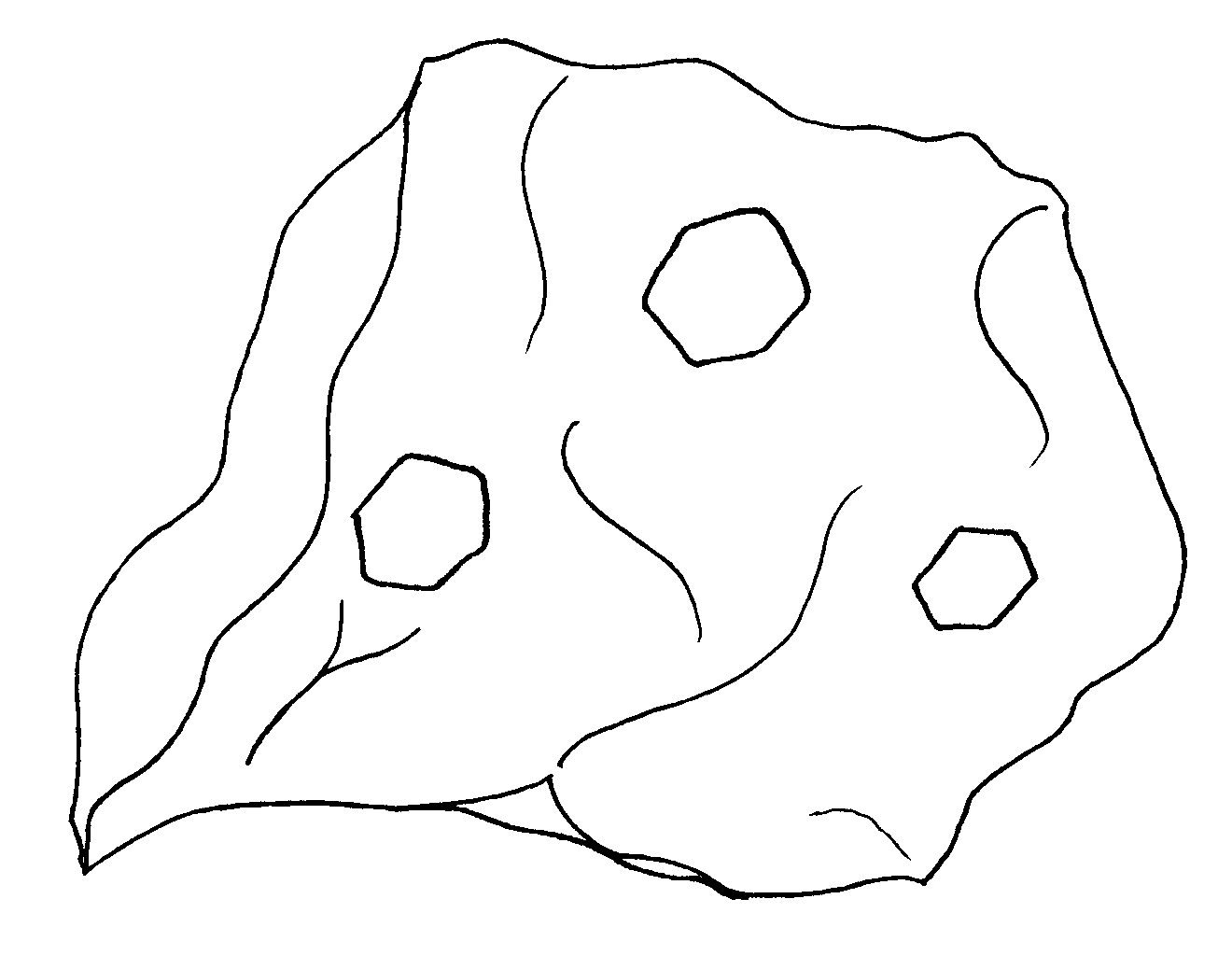 Webstockreview Metamorphic Sketch Coloring Page