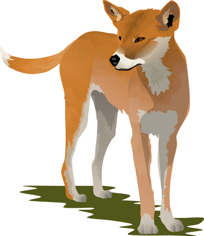 Free Dingo Cliparts, Download Free Dingo Cliparts png images, Free