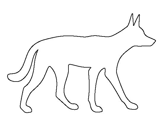 Featured image of post How To Draw A Dingo Easy How to draw a whale tutorial from draw your world
