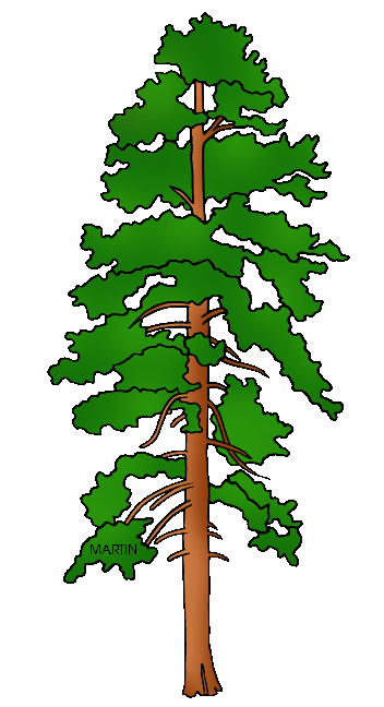 Free United States Clip Art by Phillip Martin, State Tree of 