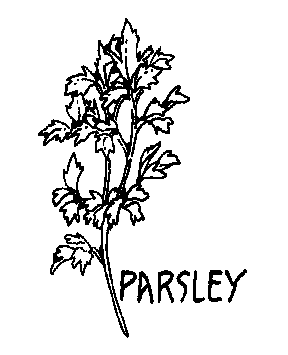 parsley cartoon clipart