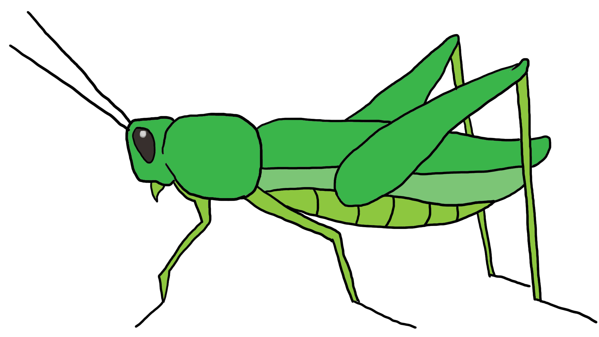 Grasshopper Clip Art 