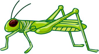 cricket insect clip art black and white