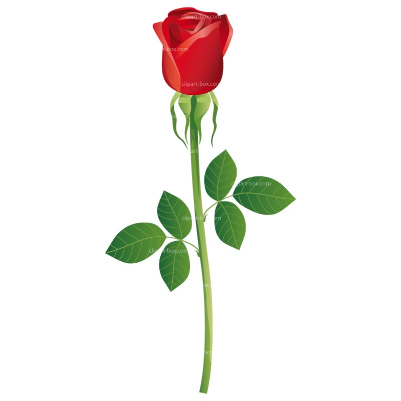 clipart rose bud - photo #11