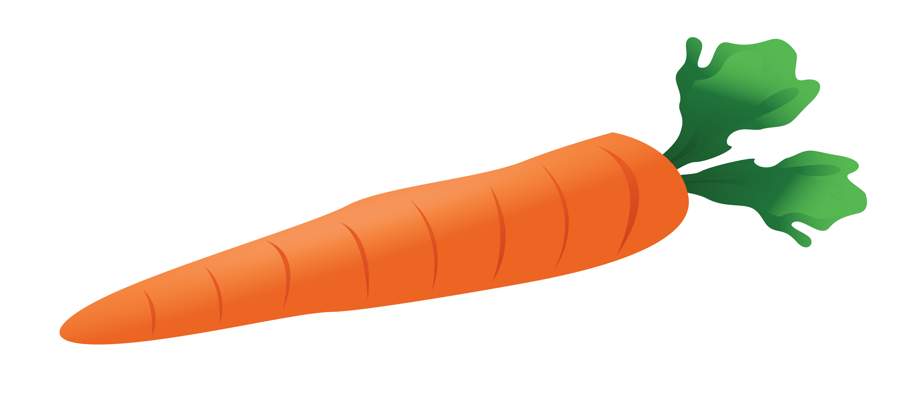 Carrot Clip Art Free 