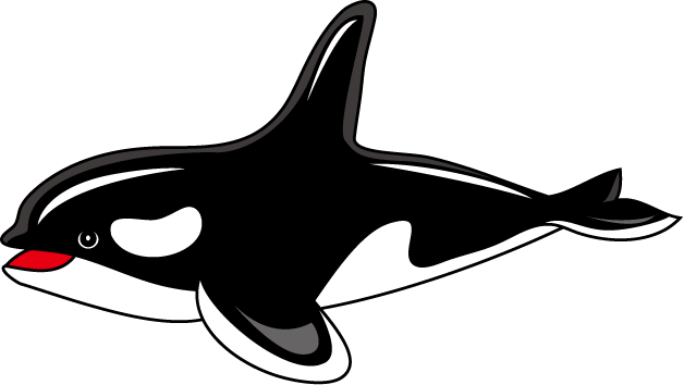 Featured image of post Cartoon Clipart Orca Whale Cartoon comics drawing killer whale others transparent background png clipart