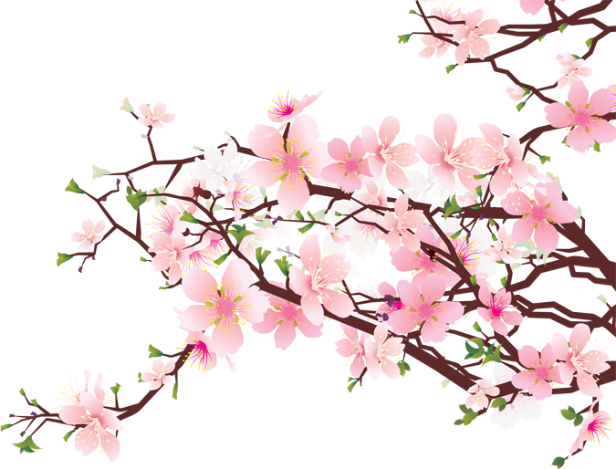 Cherry Blossom Tree Clip Art