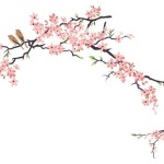 Free Cherry Blossom Art
