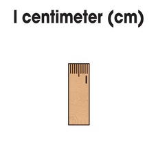 1 Cm Length Clipart 