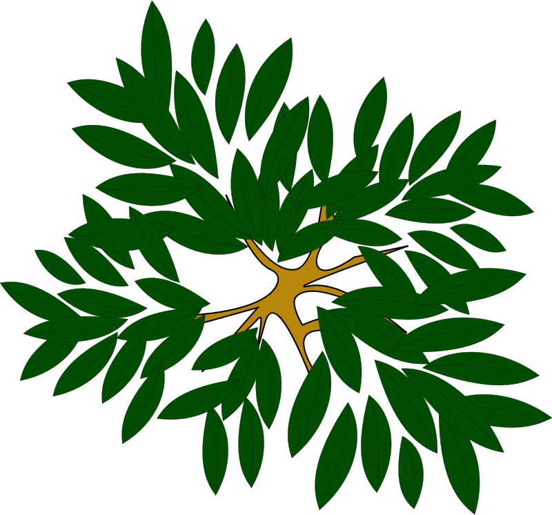 Tree Clump Clipart Icon PNG