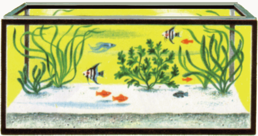 free fish tank clip art - photo #25