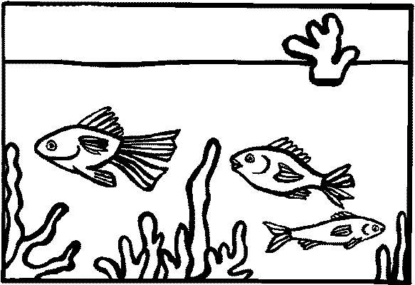 Aquarium Clip Art 