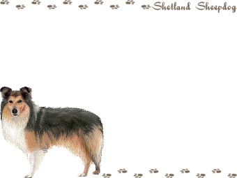 Shetland Sheepdog, Sheltie clipart graphics