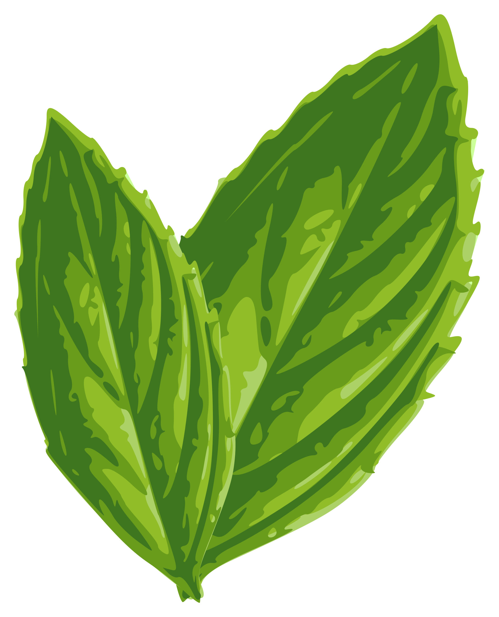 free mint leaves clipart - photo #6