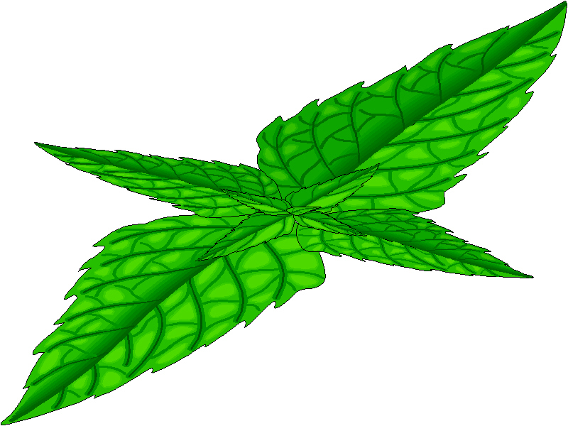 free mint leaves clipart - photo #16