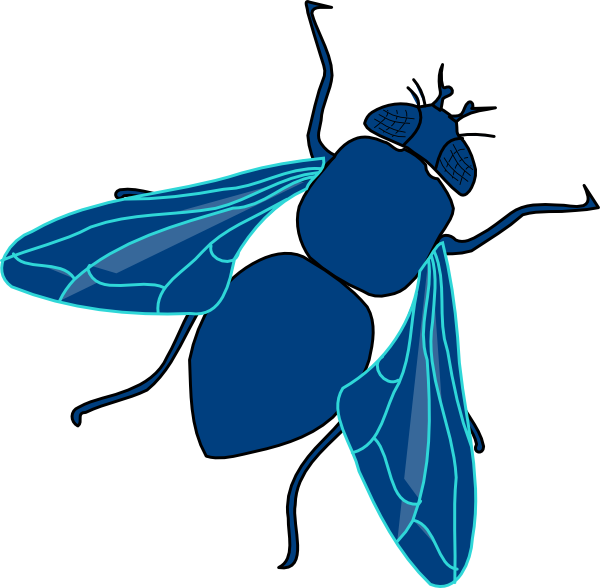 Blue Fly Clip Art