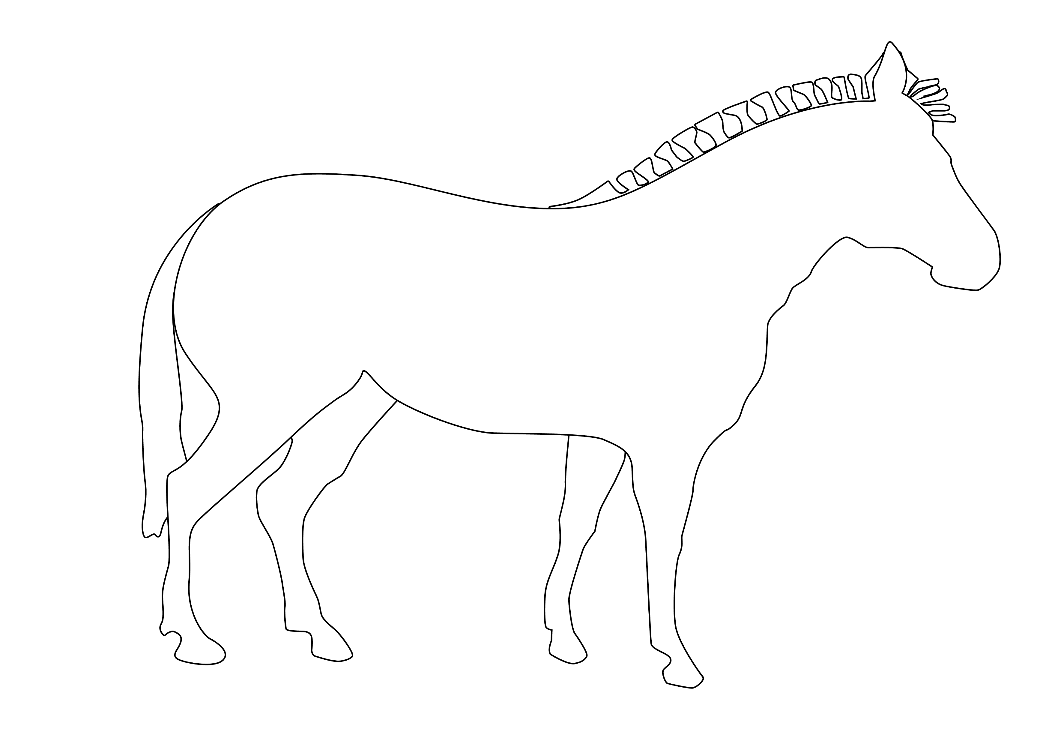 Animal Coloring Horse Head Outline Clip Art Horse Head Outline Hi 