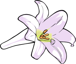Free Clipart Of Lilies
