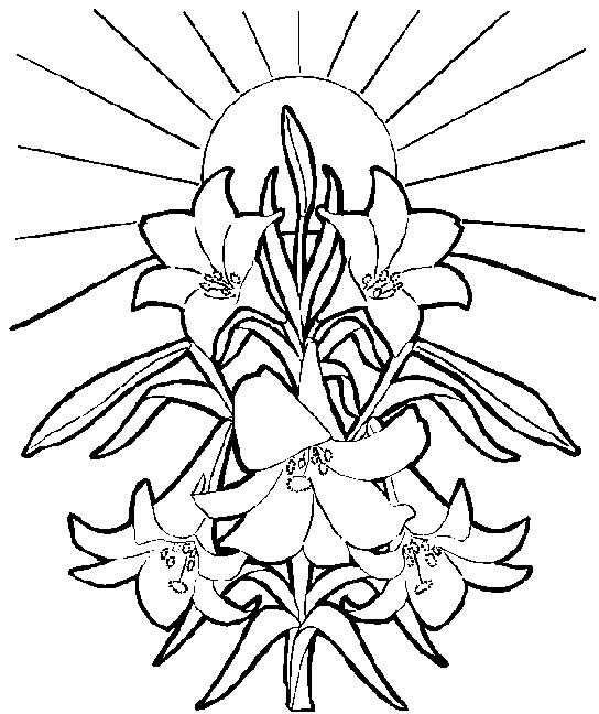 Easter Lilies Free Clip Art