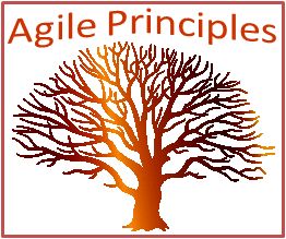 Agile Principles 