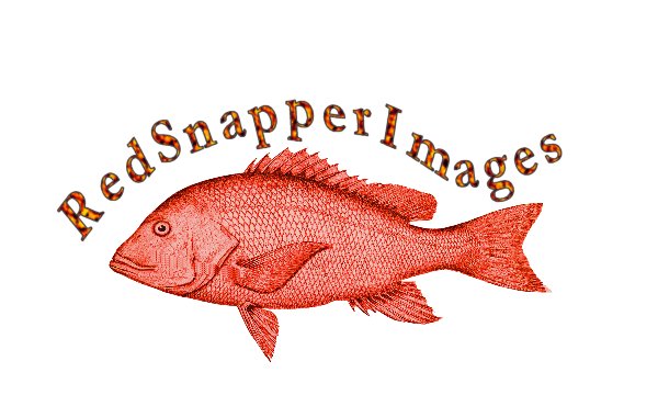 Snapper Logo